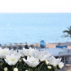 Отель Apartamento   Sol del Mar Mediterraneo, фото 30