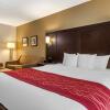 Отель Comfort Inn & Suites near Six Flags, фото 14