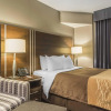 Отель Comfort Inn Toronto City Centre, фото 5