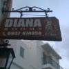 Отель Diana в Сиросе