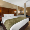 Отель Comfort Suites Denver near Anschutz Medical Campus, фото 25