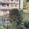 Отель Taplejung Hotel Pathivara, фото 20