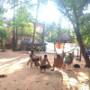 Отель Shiva Gardens Homestay, фото 25