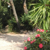 Отель Villa Pharima, фото 6