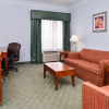 Отель Holiday Inn Express Tampa N I-75 - University Area, an IHG Hotel, фото 36