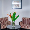 Отель Grand Lancaster Brazzaville, фото 15