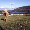 Отель Valdres Høyfjellshotell, фото 23