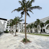 Отель Nesta Hotel Da Nang, фото 11