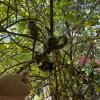 Отель Le Jardim - Pousada, фото 20