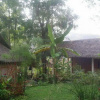 Отель Hill Tribe Art House Lahu & Akha Homestay, фото 11