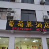 Отель Grapevine Hotel, фото 3