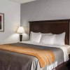 Отель Comfort Inn & Suites Lumberton Central I-95, фото 29
