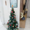 Отель Um Luxo de Apartamento Na Enseada, фото 11