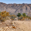 Отель Northridge, фото 8