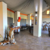 Отель Cheetah Paw Eco Lodge, фото 16