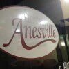 Отель Anesville, фото 15