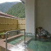 Отель Umegashima Onsen Ryokan Ichikawa, фото 14