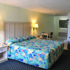 Отель Palmetto Beachfront Hotel, a By the Sea Resort, фото 4