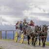 Отель TA Ranch, фото 19