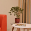 Отель Tip Tap Guest House, фото 6