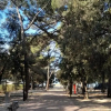 Отель Mobile Home Laguna, фото 1