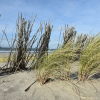 Отель New Holiday Home Near the Beach of Petten, фото 20