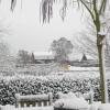 Отель Bed en Breakfast De Rozenhorst, фото 16