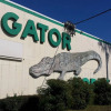 Отель Gator Lodge, фото 1