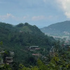 Отель Karadeniz Kus Cenneti Otel, фото 34