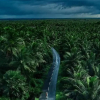 Отель UDS COCO HOTELS & RESORTS Udumalpet, фото 19