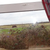 Отель Sea View Cottage Lake District Coast, Haverigg, фото 24