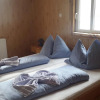 Отель Pension Svoboda, фото 2