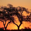 Отель Mwinilunga Safaris, фото 37