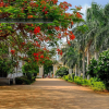 Отель Sree Radha Lodge by OYO Rooms, фото 6