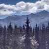 Отель Alaska Spruce Cabin's, фото 13