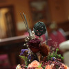 Отель Hostal Cordillera, фото 11