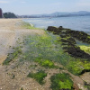 Отель Vistas a la Ría de Arousa, фото 5