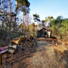 Отель Diamond Suite in the woods, фото 11