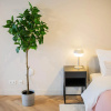 Отель Peaceful Serviced Studio's -44m2-, фото 18