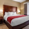 Отель Comfort Inn DFW North-Irving, фото 13