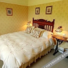 Отель The Wind in the Willows Country House Hotel, фото 37