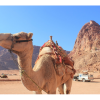 Отель Bedouin Nomads Adventures, фото 6
