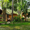 Отель Paradise Palms, фото 15