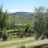 Отель Oliveta, фото 9