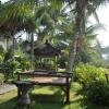 Отель Crystal Beach Bali Hotel, фото 4