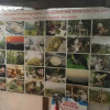 Отель Mr.Jungle Trek House - Hostel, фото 22