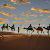 Отель Caravanserai Luxury Desert Camps, фото 11