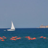 Отель Apartments Kanegra Plava Laguna, фото 23