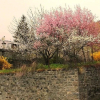 Отель Gîtes Communaux Du Lauzet-Ubaye, фото 1