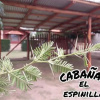 Отель El Espinillo, фото 3